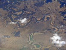 Grenouille - Australie